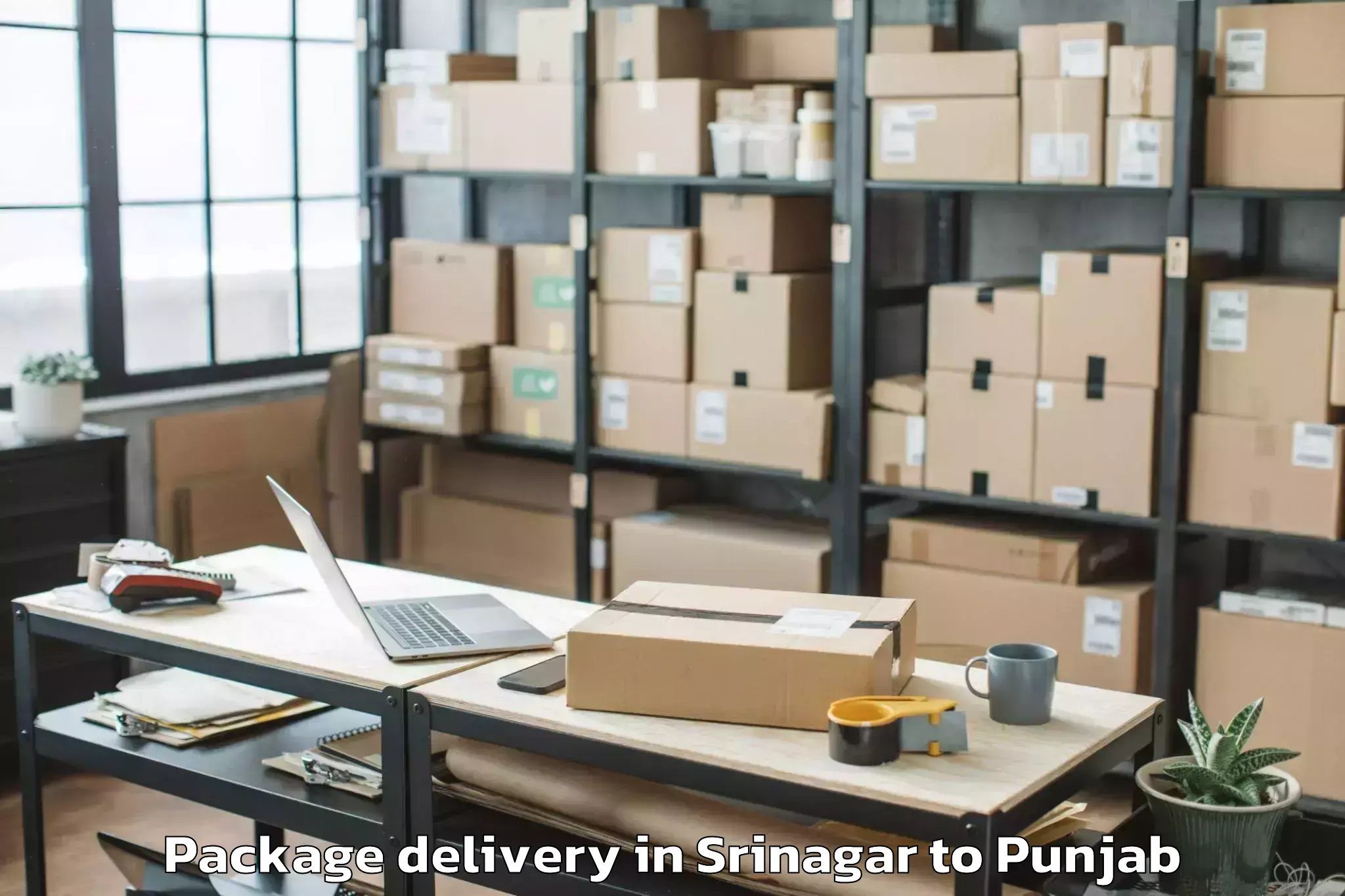 Discover Srinagar to Punjab Technical University Ka Package Delivery